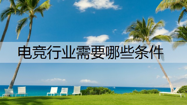 电竞行业需要哪些条件