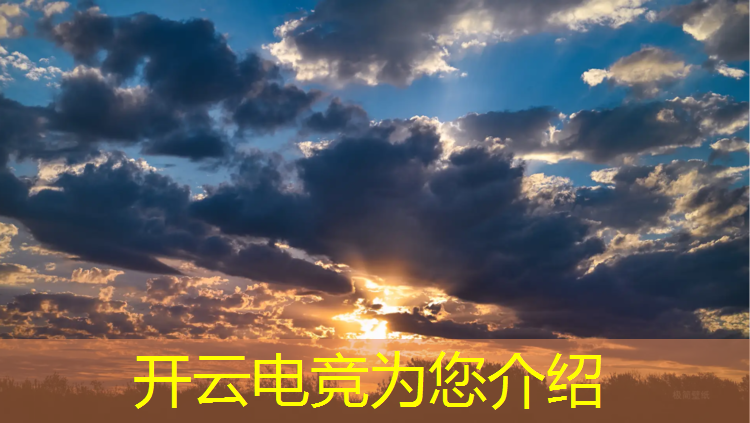 开云电竞为您介绍：专属联盟武汉电竞玩家