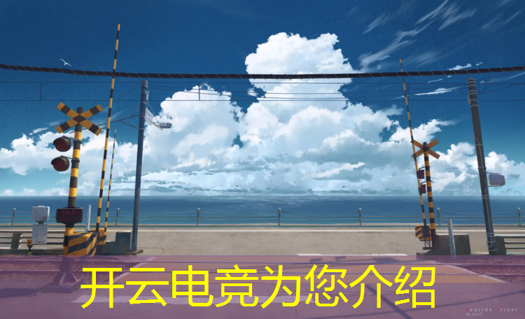 kaiyun·开云电竞为您介绍：某猫正在电竞节活动中