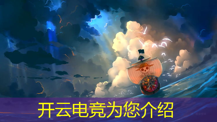 kaiyun·开云电竞为您介绍：国内大型电竞赛事都有哪些