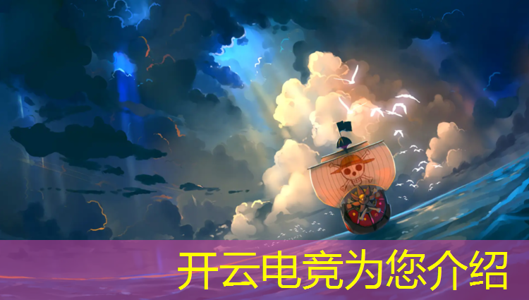 kaiyun·开云电竞为您介绍：厦门电竞青训班价格表图
