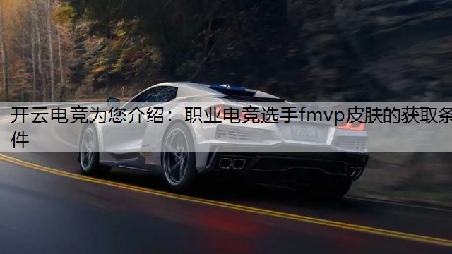职业电竞选手fmvp皮肤的获取条件